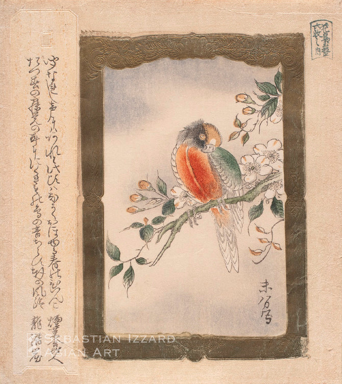 超格安一点 Cat リチャードスペンサーMoon 版画 版画 - 銅版画