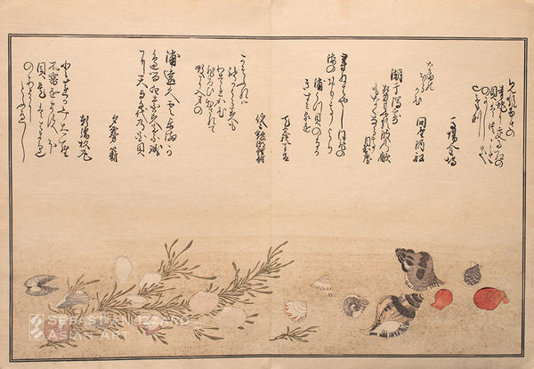 Gifts of the Ebb Tide (Shiohi no tsuto)