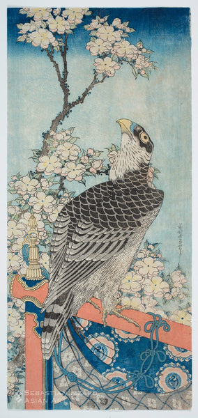 KATSUSHIKA HOKUSAI (1760&ndash;1849)<br /> <em>Tethered Hawk and Cherry</em> Color woodblock print: <em>nagaban tate-e</em>, 20⅛ x 9&frac14; in. (51.1 x 23.5 cm); ca.1833&ndash;34 Signed: <em>Saki no Hokusai Iitsu hitsu</em> Censor&rsquo;s seal: <em>kiwame</em> (examined) Publisher: Kinshindō (Moriya Jihei)