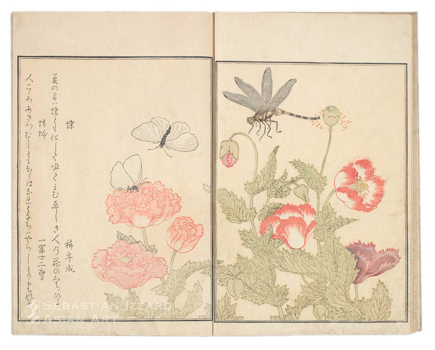 Picture Book of Crawling Creatures (Ehon mushi erami)