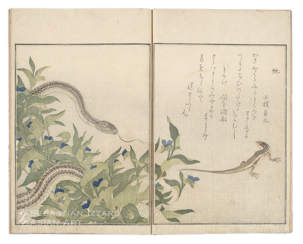 Picture Book of Crawling Creatures (Ehon mushi erami)