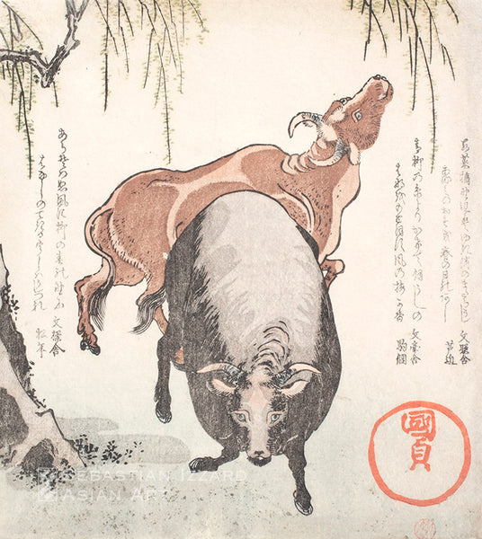 Two Oxen Under a Willow Tree