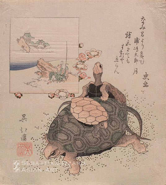 Sea Turtles and Urashima Tarō