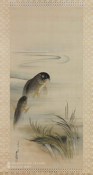 Carp Swimming among Water Plants