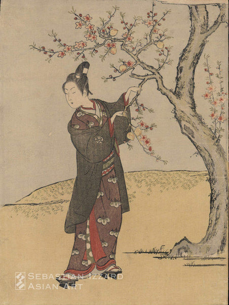 SUZUKI HARUNOBU (1724–1770) Young Man Plucking a Brach from a Peach Tree Color woodblock print chuban tate-e  28.6 x 21.6 cm  Unsigned