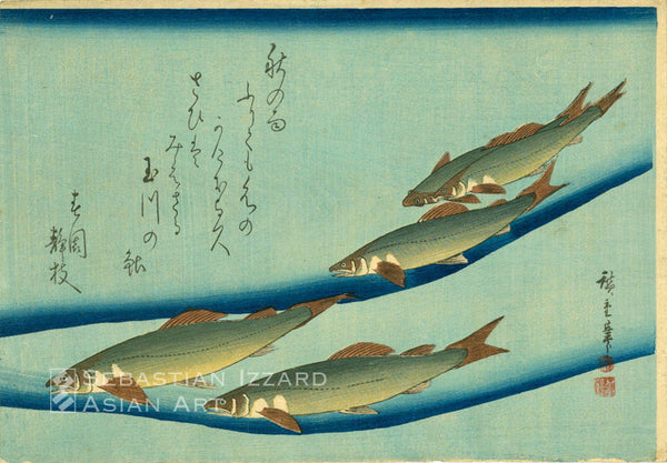 UTAGAWA HIROSHIGE (1797–1858) River Trout (Ayu) Color woodblock print oban yoko-e  26 x 37.8 cm; ca. 1832 Series: untitled fish series Signed: Hiroshige hitsu  Sealed: kiwame (censored) Publisher: Nishimuraya Yohachi (Eijudo)